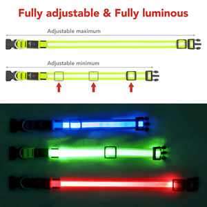 <span class=keywords><strong>Collar</strong></span> de seguridad para mascotas, luz pequeña, mediana y grande, resistente al agua, brillante, recargable por USB, LED, para perros - Product Image 5
