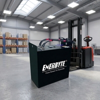 Batterie au lithium pour chariot élévateur de stockage frigorifique -30 ° C à 55 ° Pack de batteries LiFePO4 à large plage de température C