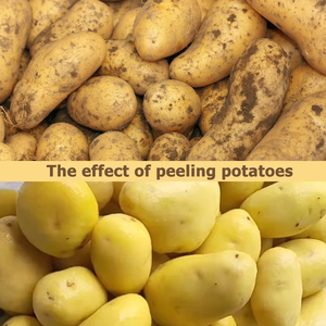 Lini Produksi Pengolahan Kentang Long Kun - Pembelian Satu Atap - Lini Produksi Keripik Kentang - Product Image 6