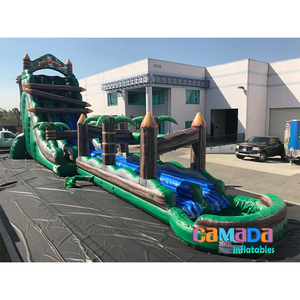 Toboggan gonflable géant à double voie pour adultes et enfants, château gonflable, toboggan gonflable avec piscine - Product Image 3