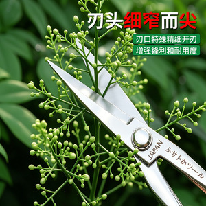 Yocan Stainless Steel Garden <b>Shears</b> Japanese Blade Pruning <b>Tool</b> For Branch Trimming - Product Image 4