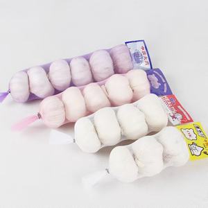 <span class=keywords><strong>Ail</strong></span> blanc normal frais chinois de bonne qualité pour l'Europe Légumes en gros à bas prix Fresque populaire Alho au Brésil - Product Image 1