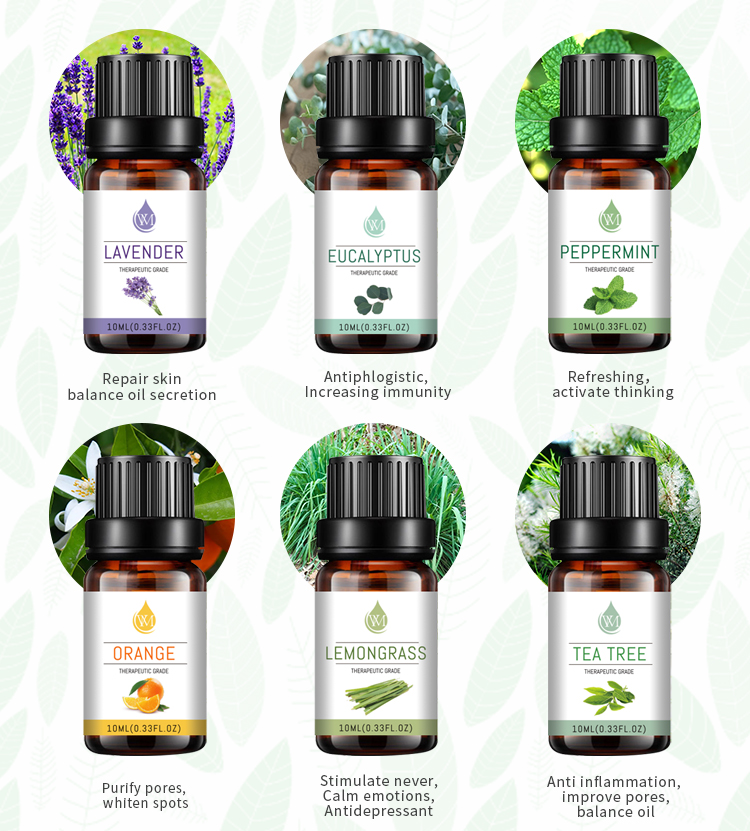 10ML 6pcs Aromatherapy Essential Oil Set Pure Natural Customized
