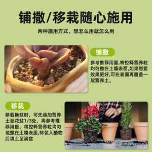 ปุ๋ยซีพาย ซักคูลเลนท์ สโลว์รีลีส 200 กรัม อาหารพืชแบบเม็ดสำหรับใบหนาและเพิ่มสีสัน - Product Image 3