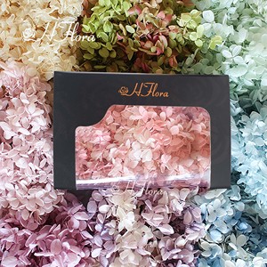 HFloral Großhandel 20 g Hortensie in Box für immer ewig erhaltene getrocknete Blume für zu Hause Hochzeit Online-Shop Dekoration