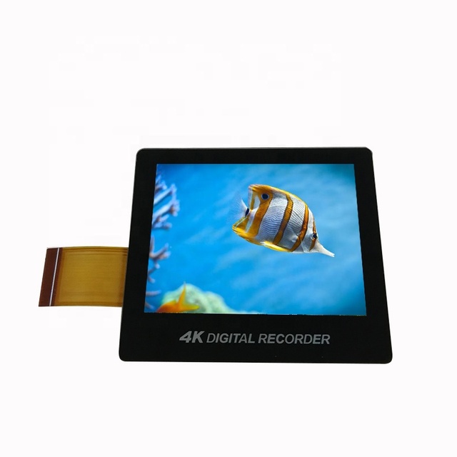 2 inch 480x360 ips tft lcd module with capacitive touch screen panel RGB high brightness 2.0 lcd display for Action camera