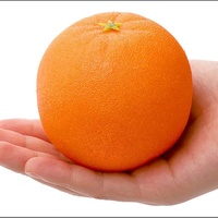 Kunstmatig Fruit Schuim Oranje Voor Decoratie Kunstmatig Oranje Nep Fruit Plastic Voedsel Voor Thuishuis Keuken Feestdecoratie