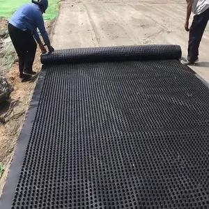 Schlussverkauf wasserdichte Kunststoffplatte HDPE-Drainagebrett Grübchen Membrane-Drainage-Matte Hdpe-Grotz-Drainage-Zelle