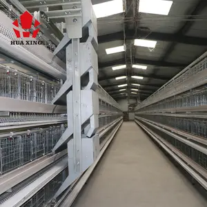 Gia cầm tự động hệ thống cho ăn thiết bị nông nghiệp hen nhà gà thịt gà lồng để bán trong sri lanka