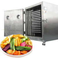Machine de lyophilisation industrielle pour aliments, à économie d'énergie, séchage rapide, lyophilisateur sous vide, meilleur prix à vendre