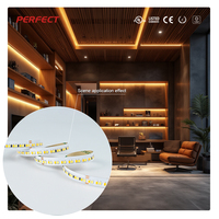 Bande LED en cuivre SMD2835CCT 48V parfaite, 240 LED/m, 20W/m, 5m/rouleau, IP20, télécommande, CRI90, garantie 3 ans, pour aménagement paysager