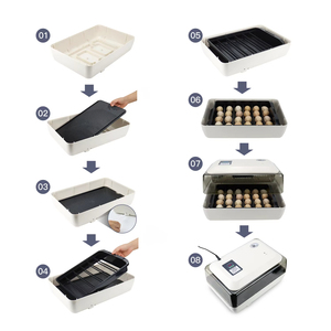 Mini incubateur automatique d'oeufs à couver pour poulet canard <span class=keywords><strong>faisan</strong></span> caille perroquet volaille à vendre - Product Image 2