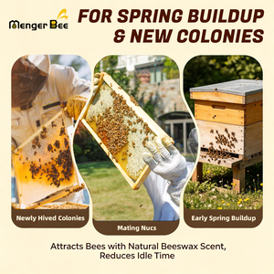 Base de fondation en cire d'abeille naturelle sans plastique pour un environnement de ruche sain – Fournisseur d'équipement apicole - Product Image 2
