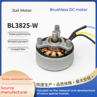 Moteur BLDC à rotor externe BL3825-W, contrôle de vitesse PWM, moteur CC sans balais pour pistolet de massage, appareils cosmétiques, purificateur d'air, ventilateur
