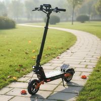 Scooter Eléctrico al por Mayor de 800W/1000W/1600W, 48V 13Ah-20Ah, Múltiples Opciones, Plegable, para Adultos, Todoterreno