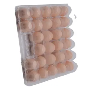 Professional Plastic Covered Quile Incucubator Egg Tray Holder