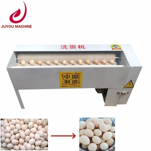 Commercial Small Duck Egg Brush Washing Machine with 304 Stainless Steel Engine and Motor for Egg Cleaning - Product Image 6
