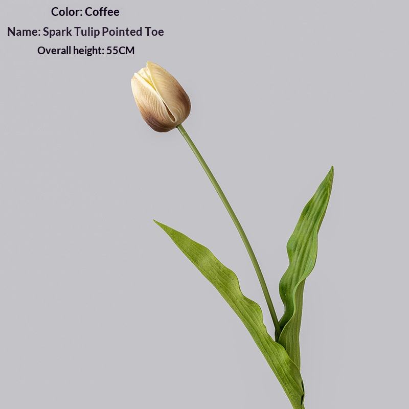 สีน้ำตาล