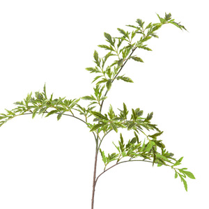 กิ่งไม้ประดิษฐ์ Laixing ขนาด 110 ซม. ทำจาก PVC นุ่ม ทนทาน ใบไม้แบบ Ficus Pumila สำหรับตกแต่งบ้านและงานแต่งงาน - Product Image 2