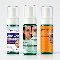 Nettoyant Visage Personnalisé OEM ODM aux Acides Aminés, Niacinamide, Extrait de Camélia et de Cactus, Hydratant et Contrôle du Sébum, Marque Privée