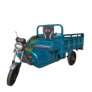 Triciclo eléctrico más barato, motocicleta de 3 ruedas para adultos, Bicitaxi a la venta, triciclo de mercancías