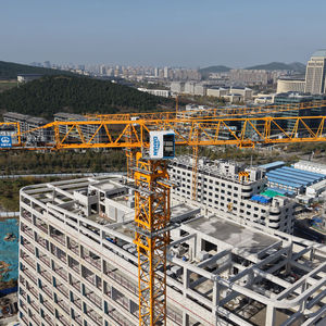 高性能 QTZ500-8530 最优质大汉起重机起重设备最大起重重量 25 吨批发跨度 85 米平顶塔式起重机 - Product Image 2