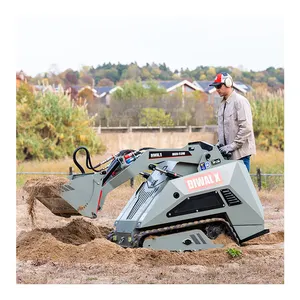 Boleo Ce Epa Usa Mini Farm Hydraulische Crawler Dump Loader Dieselmotor Mini Skid Stuurlader