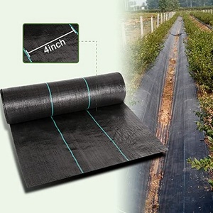 Feuille de plastique imperméable à revêtement <span class=keywords><strong>pour</strong></span> le sol, tissu agricole noir, anti-croissance de l'herbe, bâche en PP, contre les <span class=keywords><strong>mauvaises</strong></span> <span class=keywords><strong>herbes</strong></span> - Product Image 3