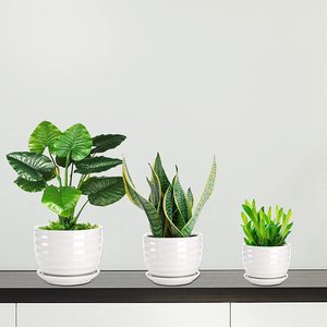Fasmov vasi per <span class=keywords><strong>piante</strong></span> in ceramica foro di drenaggio e piattino rotondo fiore moderno <span class=keywords><strong>Cactus</strong></span> succulento tutte le <span class=keywords><strong>piante</strong></span> di casa <span class=keywords><strong>fiori</strong></span> succulente bianco - Product Image 6