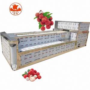 Machine d'épluchage et de dénoyautage de litchi de grande capacité - Product Image 4