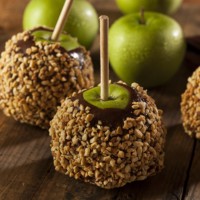 Brochettes en bois miniatures personnalisées de 4 pouces Brochettes coréennes en bois de bouleau naturel pour les fêtes en plein air Torréfaction de fruits Utilisation au restaurant