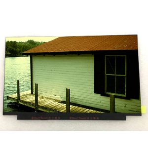 Módulo LCD B139HAN03.2 de Alta Calidad y Confiabilidad, Pantalla LCD TFT de 14.0 Pulgadas y 1920*1080 - Product Image 1
