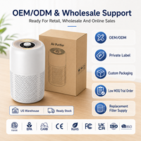 Pembersih Udara Portable True HEPA Penghilang Bau Bulu Hewan Peliharaan Pilihan Distributor untuk Meja Asrama, Hadiah Retail dengan OEM ODM CE RoHS FCC