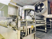 Industriële continue IQF-tunnelvriezer met PLC-besturing, automatische hoge productiviteit, -40°C lage temperatuur, voor de verwerking van diepvriesproducten in een fabriek.