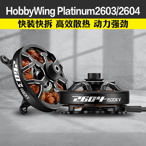 ฮอบบี้วิง แพลตตินัม 2603 1480KV 1900KV มอเตอร์ไร้แปรงสำหรับโมเดลเครื่องบินแข่ง F3P - Product Image 2