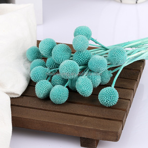 Bouquet de décoration de mariage de vraies fleurs fraîches Pycnosorus Bouquet de boules de Billy naturel préservé Boutons de Billy pour la Saint-Valentin - Product Image 5