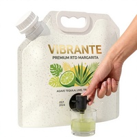 Pochettes Doypack personnalisées avec bec verseur 1,5L 3L 5L pour jus de fruits, eau de coco, boissons – Emballage liquide en plastique avec logo sur mesure