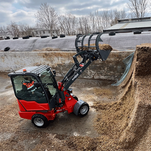 العلامة التجارية الصينية Everun الجديدة ER1220 1T2T رادلادر راددر ديزل مدمج توضيح رافعة صغيرة ذكية - Product Image 5