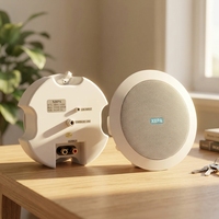 Haut-parleur de plafond actif de haute qualité 6 pouces 8 pouces 50-100W, système audio trois voies 2.0 canaux compatible APP pour home cinéma