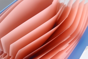 Thư A4 giấy mở rộng thư mục tập tin với 5 túi PP <span class=keywords><strong>accordion</strong></span> tài liệu tổ chức - Product Image 2