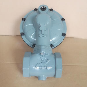 Vanne de réduction de pression de gaz naturel DN50, vanne de régulation de gaz pour pipeline industriel, accessoires essentiels pour brûleur fournis - Product Image 2