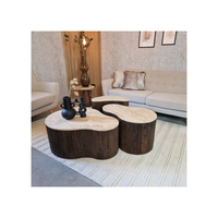 Ensemble de table basse en marbre, décor de salon, table à thé centrale en marbre naturel avec pied en bois, table basse en travertin pour vivre