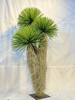 Mehrkopf-Kunstpflanze Dracaena Marginata Drachenblutbaum mit Echtem Aussehen im Topf für Heim, Hotel-Lobby, Büro und Innendekoration