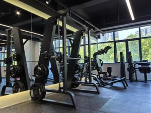 Máquina <span class=keywords><strong>Smith</strong></span> de fuerza con placas de peso para gimnasio, equipo comercial <span class=keywords><strong>Hammer</strong></span> Strength - Product Image 1