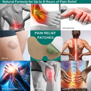 Productos más vendidos 2023 Parche para aliviar el dolor de acción rápida para rodilla, espalda, cuello, hombro, inflamación y dolor muscular