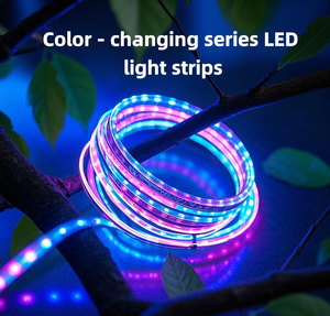 DIY Addressable RGB LED Strip WS2812B WS2811 WS2815 Breakpoint Resume 5V 12V 24V 30LED 60LED Pixel Light Strip - Product Image 4