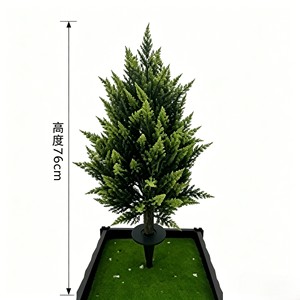 Plántula de Ciprés Fresco Densa y Refinada con Base Insertada para Jardinería, Arreglos de Cementerio, Parque o Patio - Product Image 2