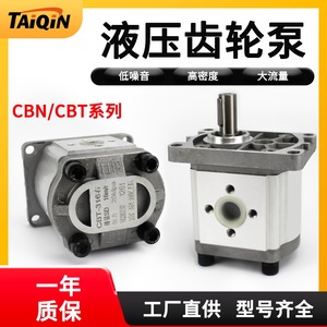 Pompe à engrenages hydraulique TAIQIN Série CBT CBN 304 306 308 310 312 314 316 320 325 Haute pression en fonte - Product Image 3