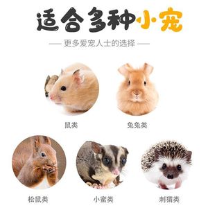 Palitos de madera de manzana secos para masticar, para hámsteres, chinchillas, conejillos de indias, conejos, limpieza de dientes, juguete para mascotas de interior, material sólido, Shandong - Product Image 3