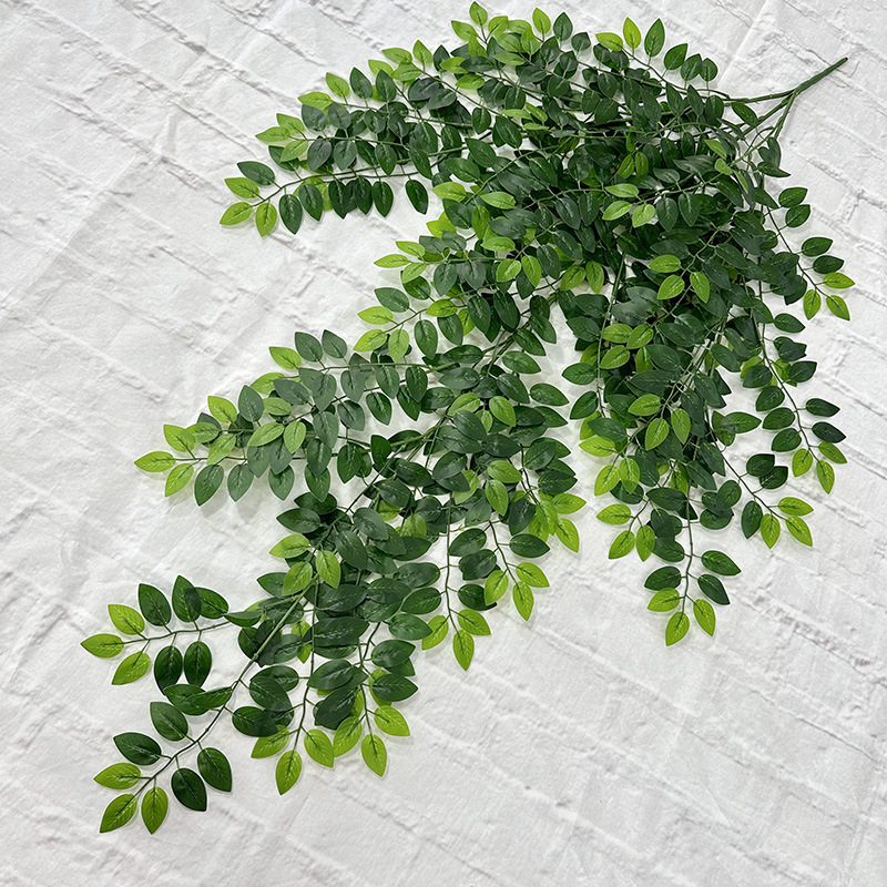 Jujube leaves hanging